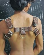 Brown Leather Chest Harness With Metal Hard Wears - Image 6
