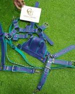 Blue & Teal Color Leather Harness With Matching Thong - Image 8