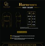 Brown Leather Chest Harness With Metal Hard Wears - Image 7